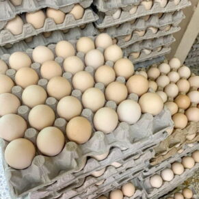 Free Range Desi Eggs