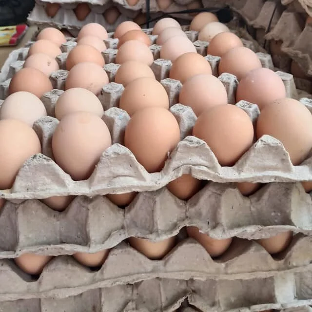 Brown Eggs