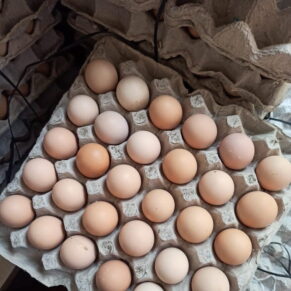 Free Range Brown Eggs